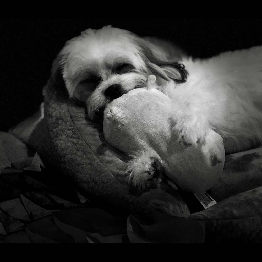 Meet your Posher, Kimberly